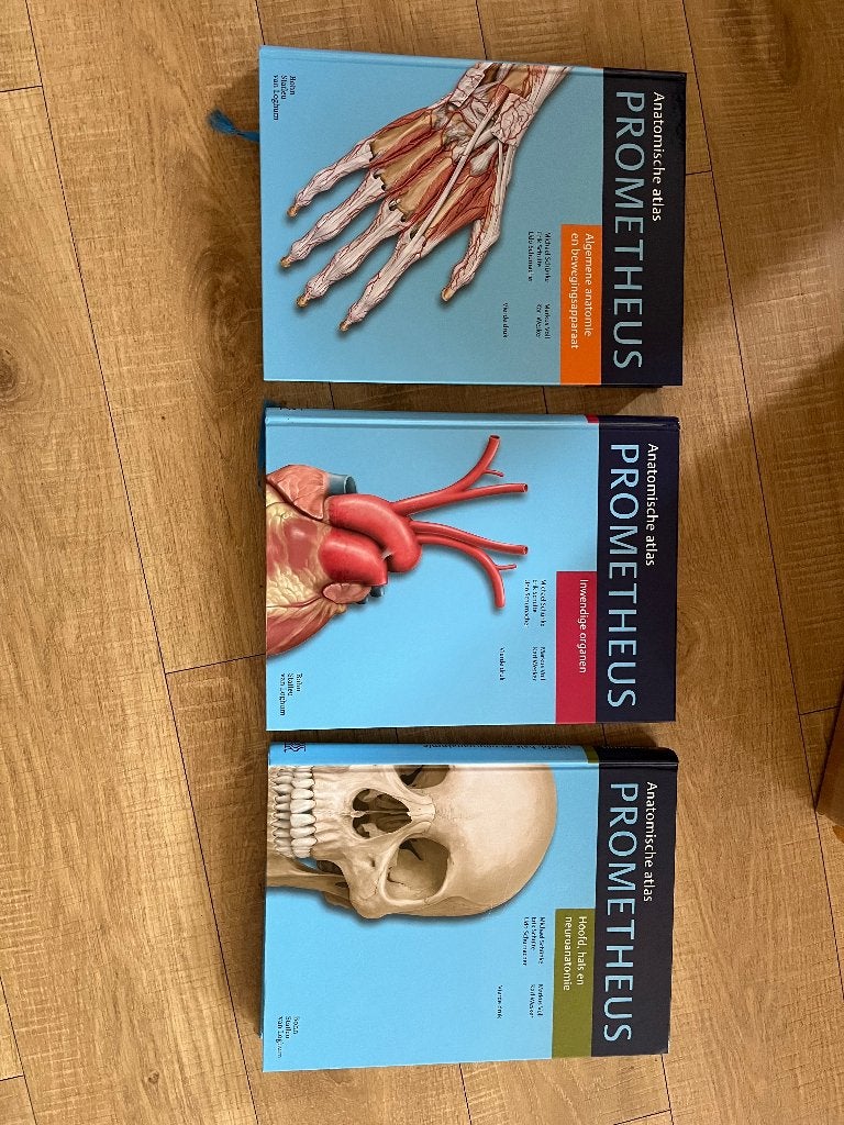 PROMETHEUS deel 2 bevat ontwikkeling bouw inwendige organen, Boeken, Studieboeken en Cursussen, Schunke, Zo goed als nieuw, Beta