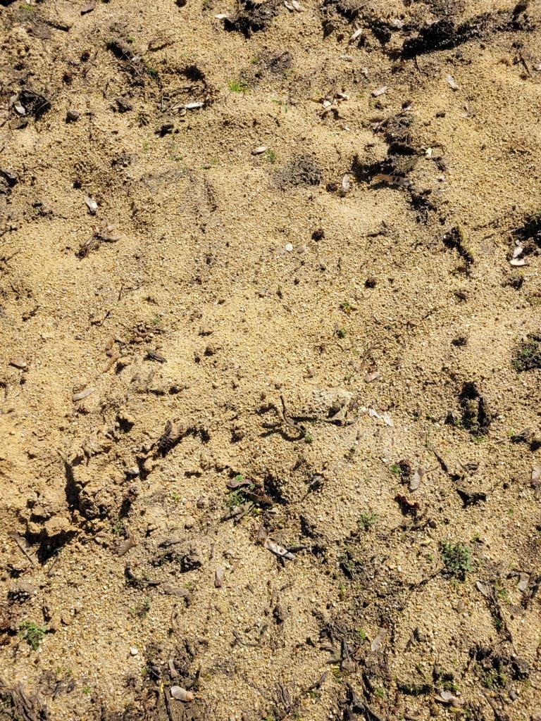 GRATIS zand, Tuin en Terras, Zand, Ophalen