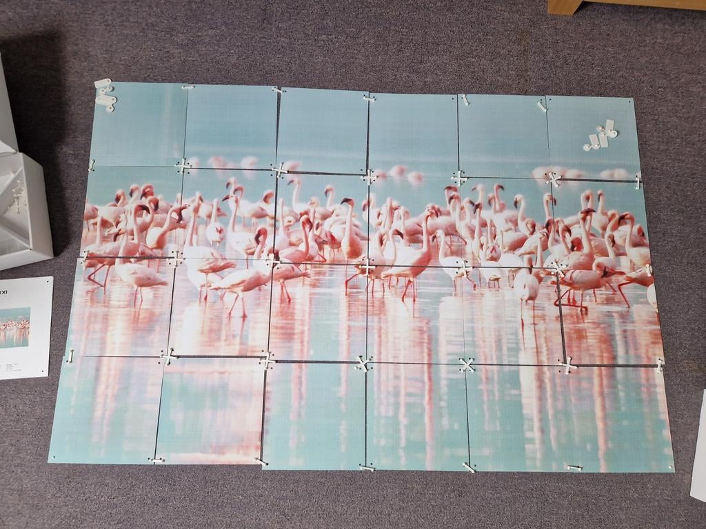IXXI Flamingos 120x80, Ophalen of Verzenden, Zo goed als nieuw, 120 cm, 20 cm