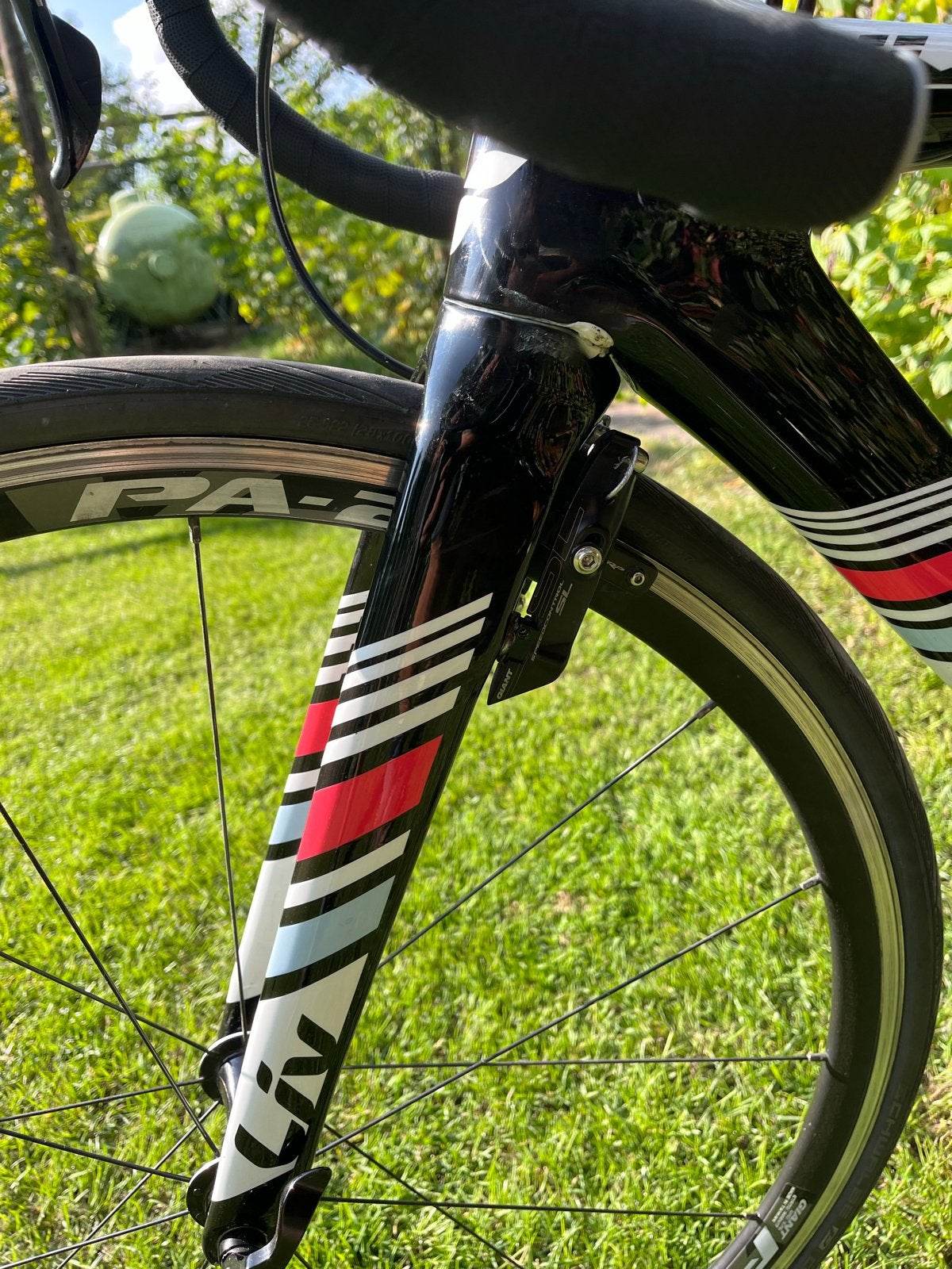 Liv Envie advaced 2 racefiets xxs - Recent onderhoud gehad!, Fietsen en Brommers, Fietsen | Racefietsen, 28 inch, Gebruikt, Carbon
