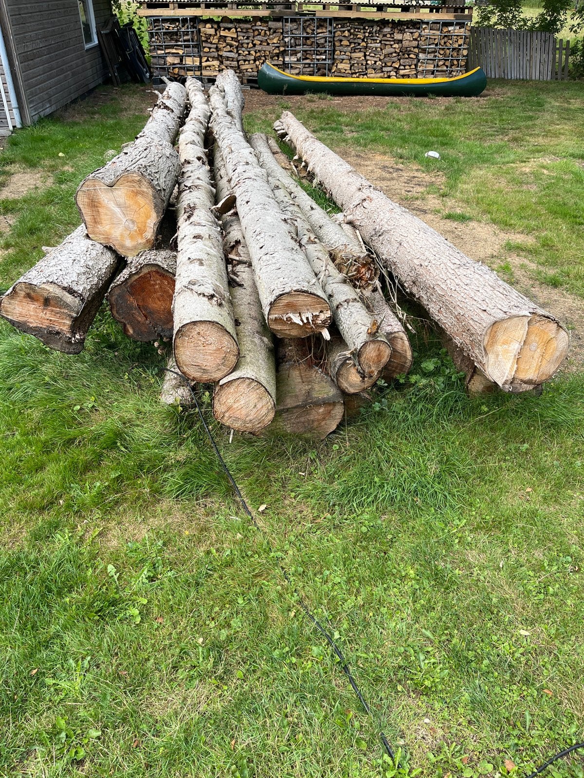 Sparren en Dennen stammen - Ideaal voor brandhout of project, Ophalen, Gebruikt, Grenen, Balk
