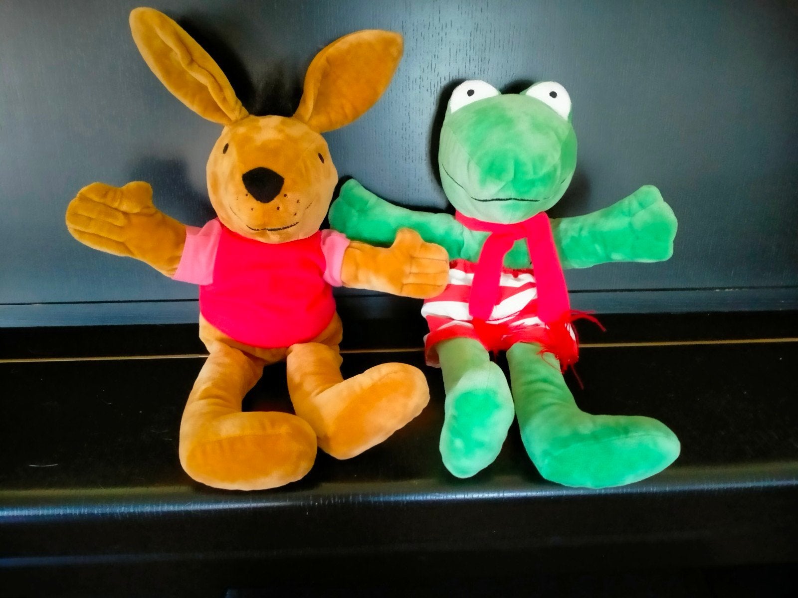 Kikker en z,n vriendjes max velthuijs kikker/haas handpoppen, Kinderen en Baby's, Speelgoed | Knuffels en Pluche, Ophalen of Verzenden