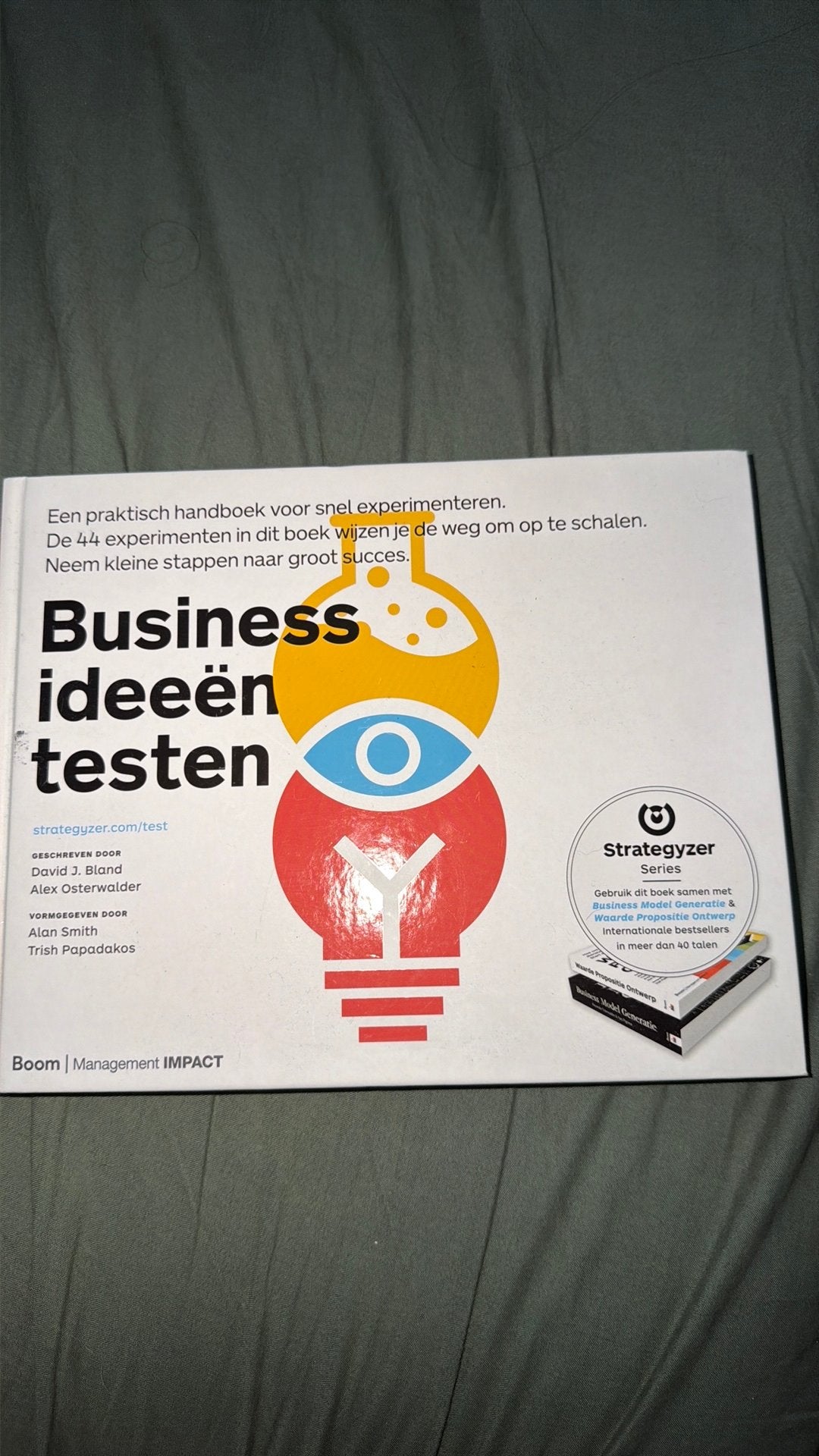 Boek bussiness ideeën testen, Boeken, Ophalen of Verzenden, Zo goed als nieuw
