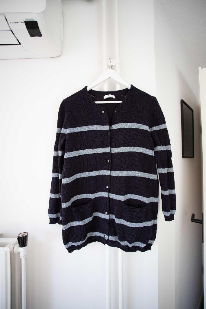 Donkerblauw vest met strepen Peter Hahn maat 40, Maat 38/40 (M), Blauw, Ophalen of Verzenden, Peter Hahn