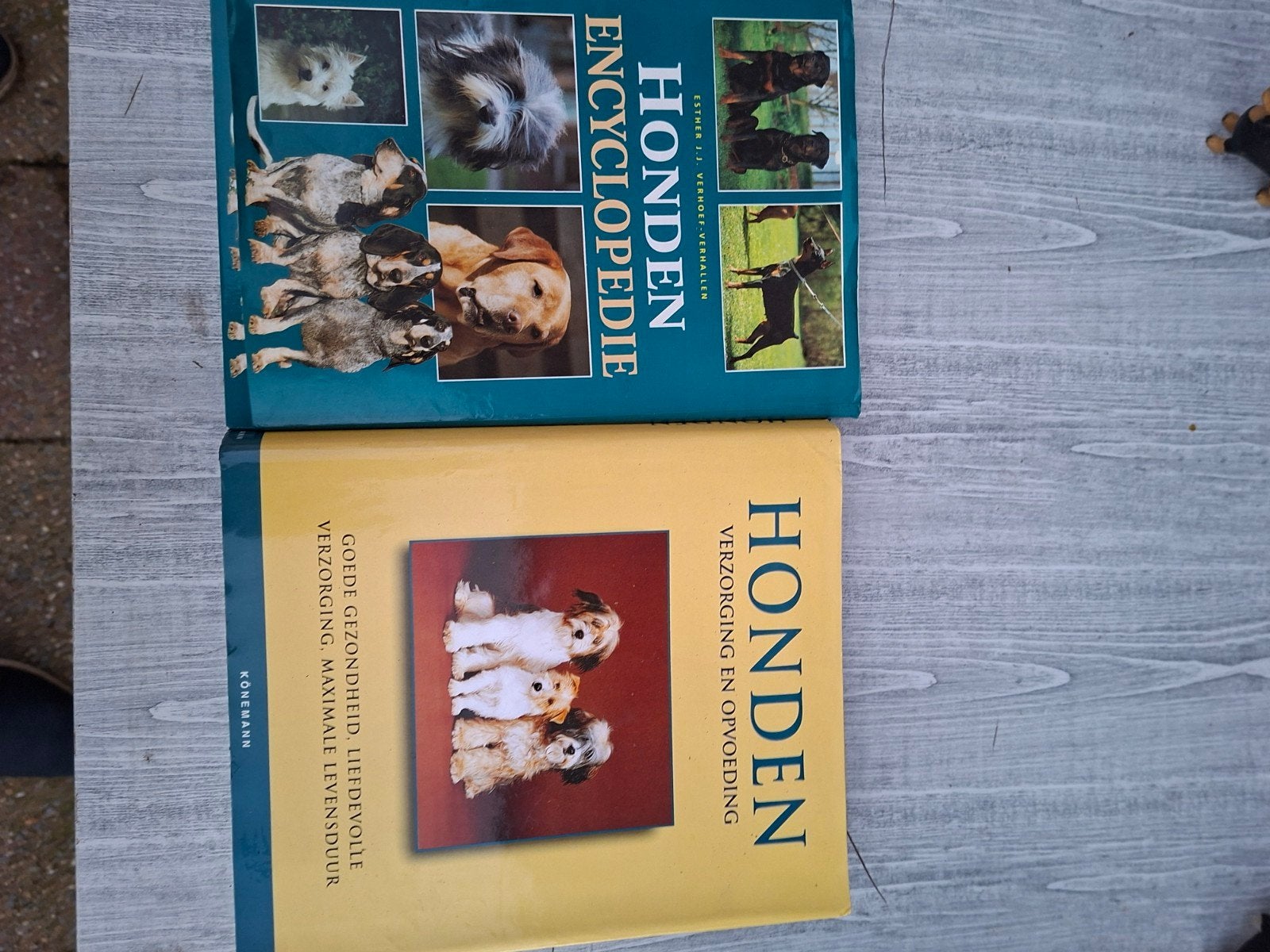 Honden Encyclopedie & Verzorging en Opvoeding Boeken, Ophalen