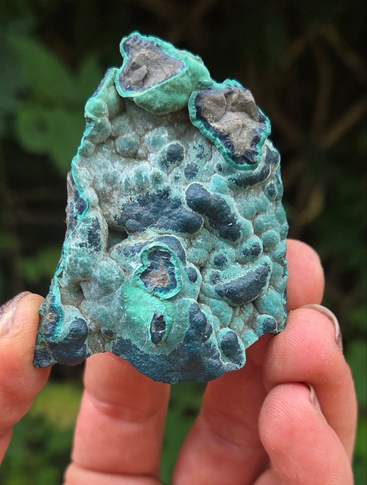 Chrychosella - Mexico, Ophalen of Verzenden