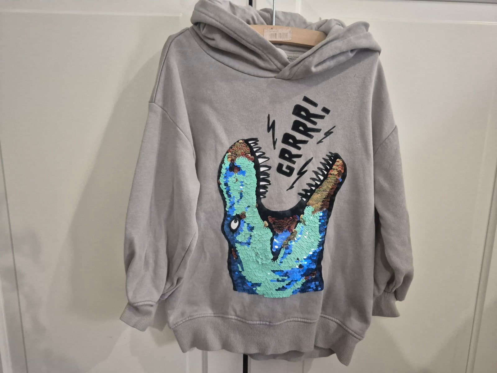 H&M Hoodie met dinosaurus pailletten - Maat 110/116, Gebruikt, Jongen of Meisje, Trui of Vest, H&M