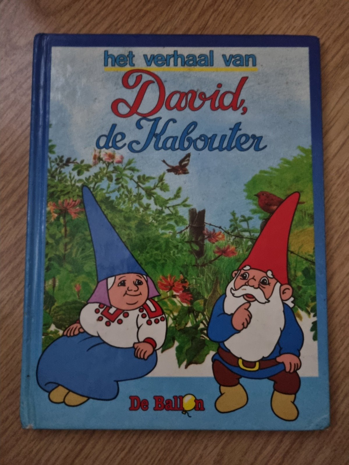 Het verhaal van David, de Kabouter - Sprookjesboek, Ophalen of Verzenden, Gelezen, Wil Huygen, Sprookjes