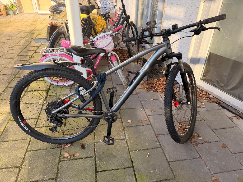 Fiets, 50 tot 53 cm, Ophalen, Zo goed als nieuw, Overige merken