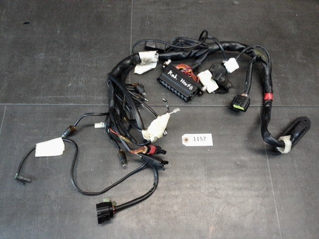 900SS 1998 - 2002 Ducati Kabelboom Kabelboom hoofd D1-61468