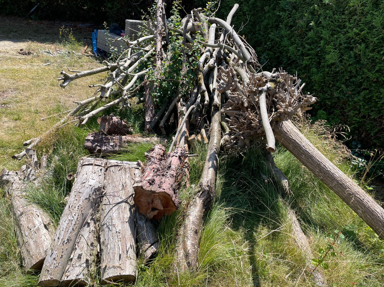 Haardhout 6 bomen, Minder dan 3 m³, Ophalen