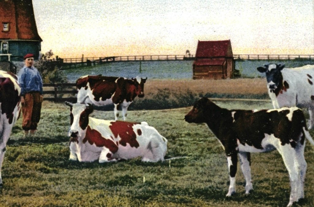 700883 Waterland Broek NH Jr 30 35 Nette kaart onbeschreven, Ophalen of Verzenden, 1920 tot 1940, Ongelopen, Noord-Holland