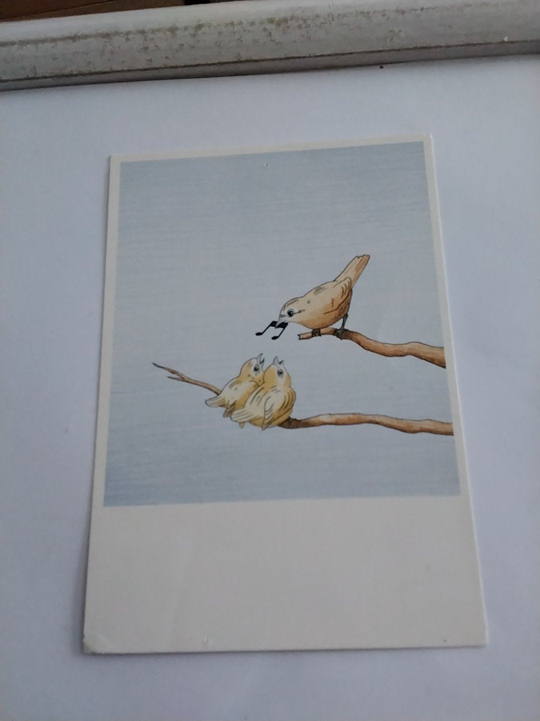 Vintage Jeroen Henneman Ansichtkaart - Vogels, Verzamelen, Ophalen of Verzenden, 1980 tot heden, Gelopen