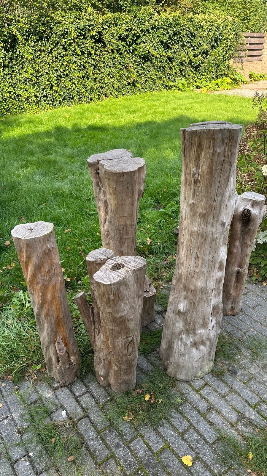Boomstammen van taxus, Tuin en Terras, Minder dan 3 m³, Ophalen of Verzenden