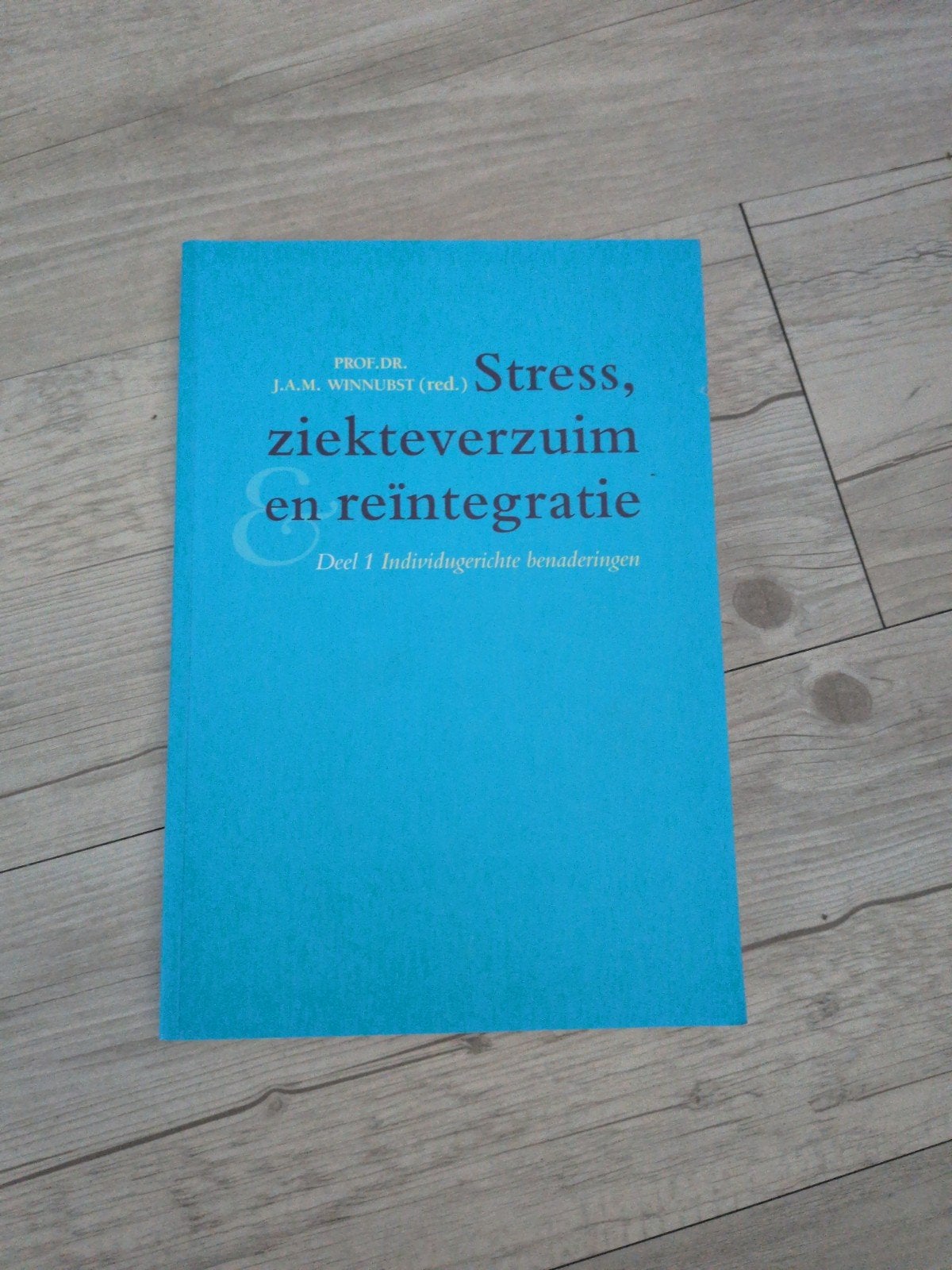 Stress, ziekteverzuim en reïntegratie - Deel 1, Ophalen of Verzenden, Gelezen, Klinische psychologie, J.A.M. Winnubst (red.)