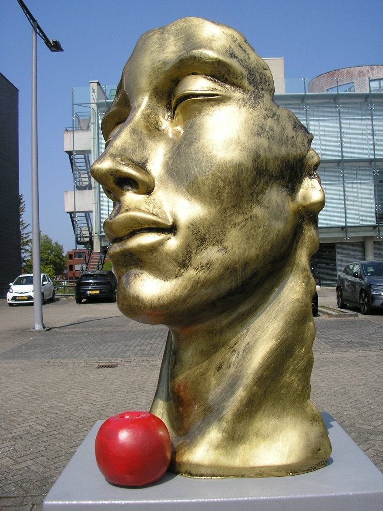 BEELD    :  HET GEZICHT  OOK WEL THE FACE, Ophalen