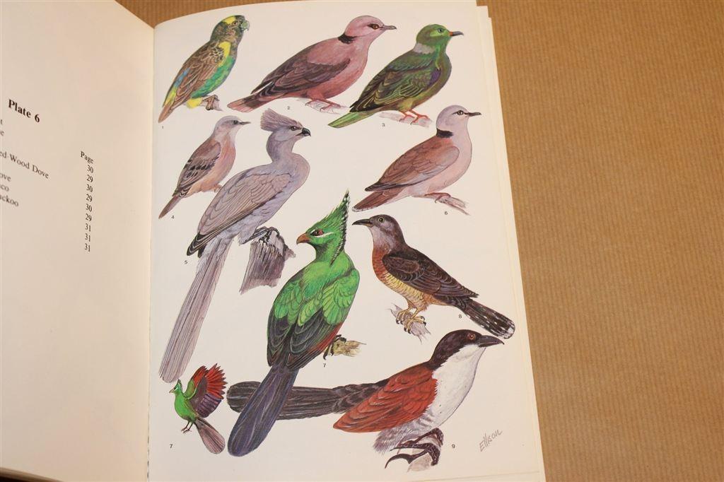 Common Birds of Zambia — Kleurenplaten Door Gabriel Ellison, Ophalen of Verzenden, Gelezen, Vogels