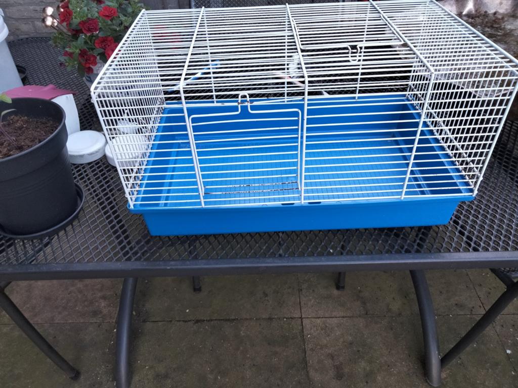 Hamster kooi met toebehoren, Minder dan 60 cm, Kooi, Gebruikt, Minder dan 75 cm