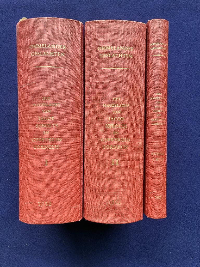 Ommelander geslachten, Boeken, Ophalen of Verzenden, Gelezen, Ritzema van Ikema, K.J.