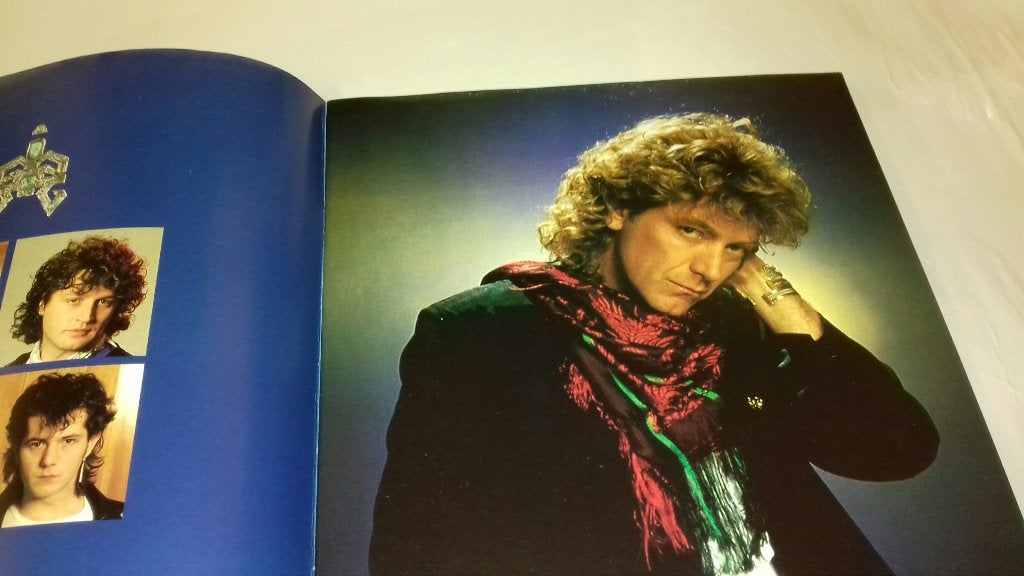 Led Zeppelin Robert Plant TOURBOOK PROGRAMMA 1988 Non Stop, Gebruikt, Verzenden, NvT, Robert Plant