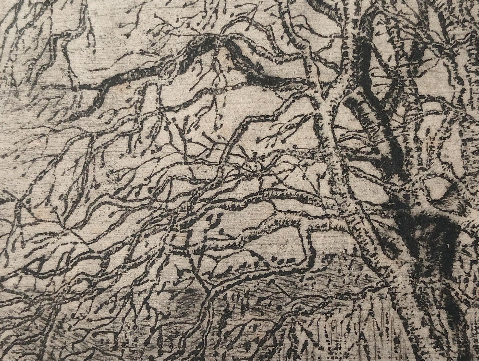 Frans Room Ets 'Twee Bomen', Ophalen of Verzenden