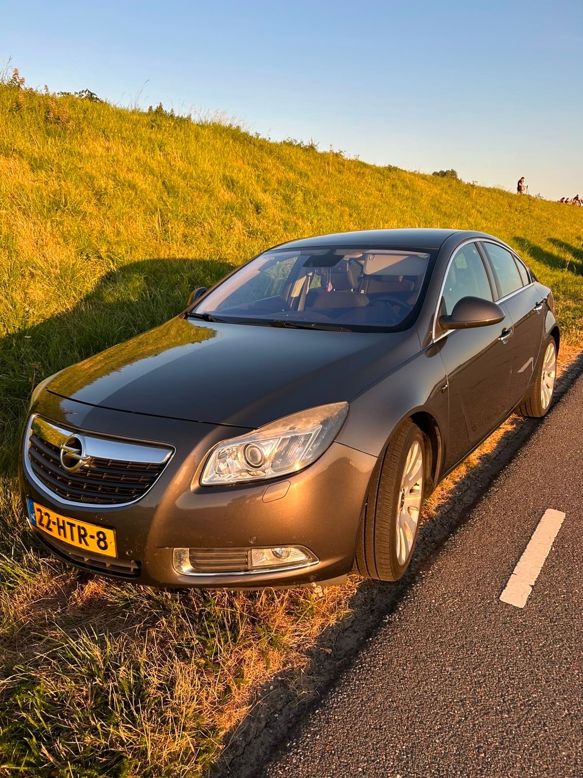 Opel Insignia 2.0 Turbo 162KW 5-DRS 2009 Grijs, Voorwielaandrijving, 1998 cc, 4 cilinders, Handgeschakeld