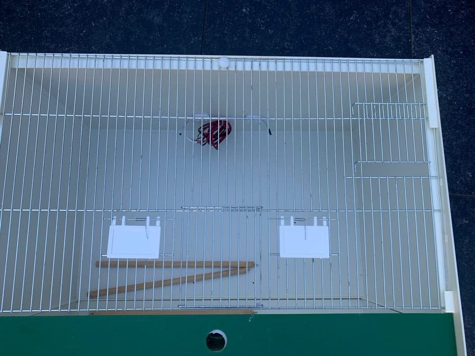 Kweekkooi met verlichting, Ophalen, Zo goed als nieuw, Kunststof, Broedkooi of Kweekkooi