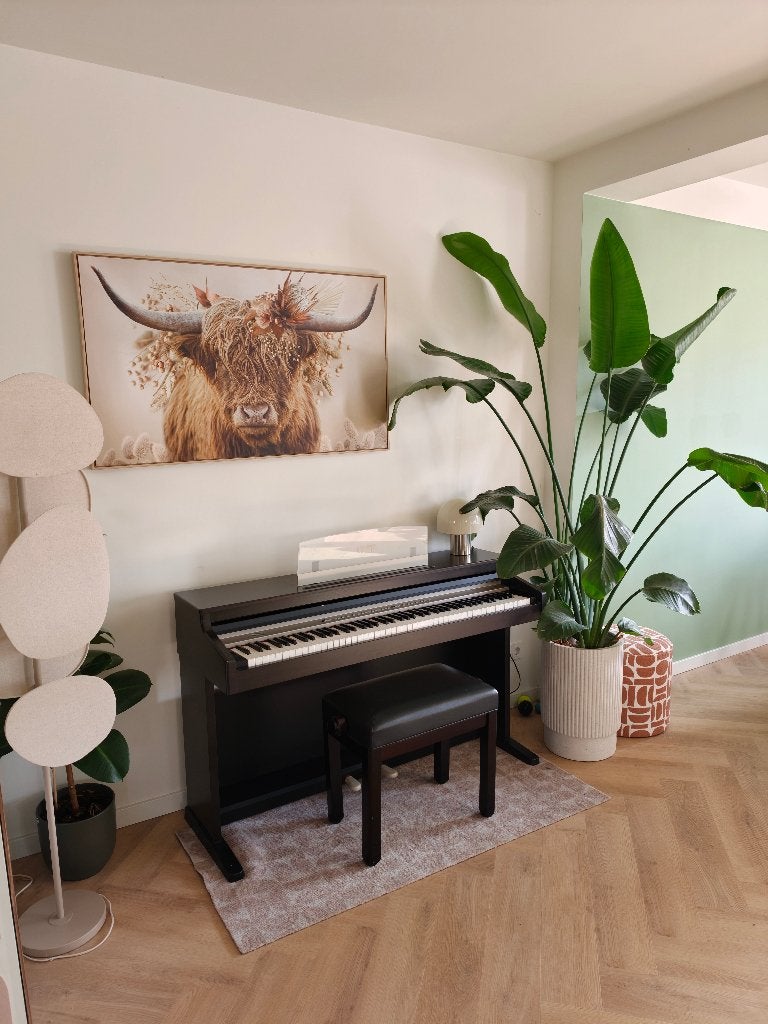 Korg concert piano EC350 + kruk, Ophalen, Gebruikt, Overige kleuren, Digitaal