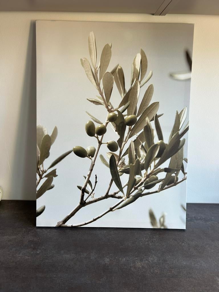Kwantum tuinposter olijftak 60x45 cm - Nieuw, Ophalen of Verzenden, Nieuw