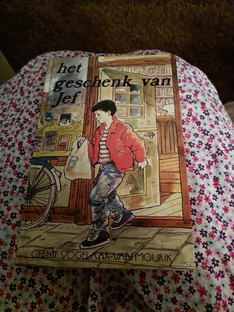 Het geschenk van Jef, Non-fictie, Geesje Vogelaar-van Mourik, Ophalen of Verzenden, Zo goed als nieuw