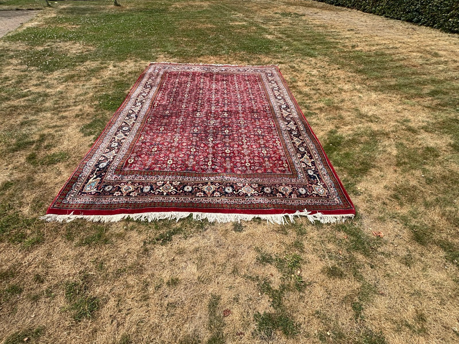 Prachtig Perzisch tapijt, rood met traditioneel patroon, Ophalen, Gebruikt, Perzisch, 200 cm of meer