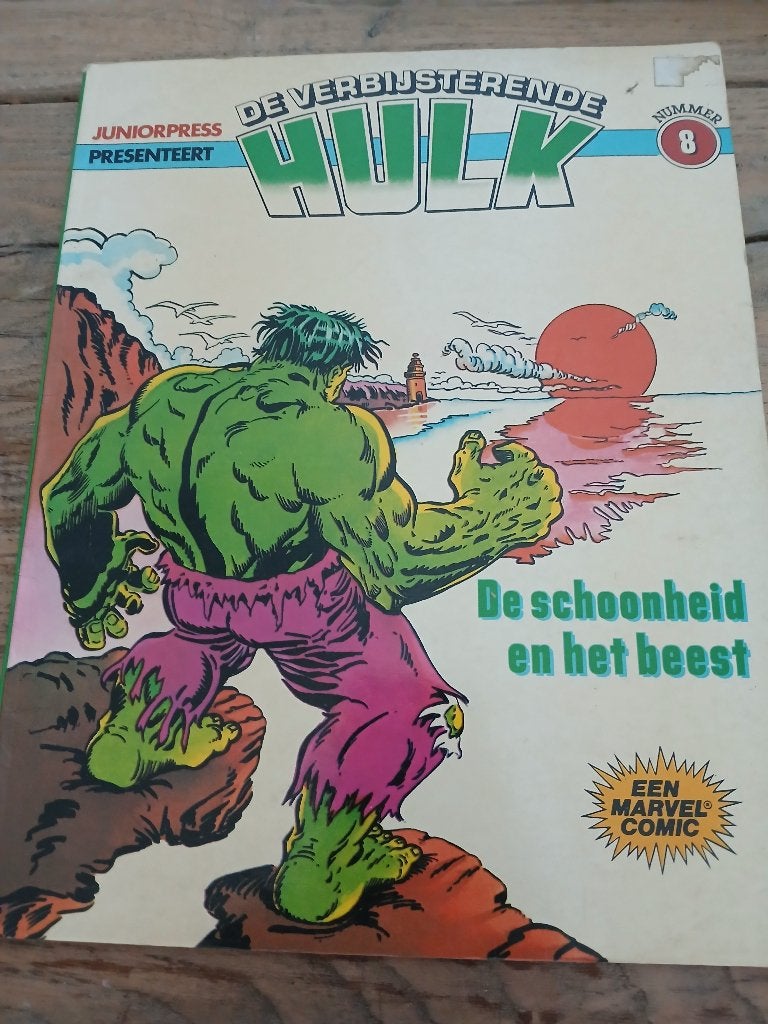 De verbijsterende HULK, Europa, Ophalen of Verzenden, Stan Lee, Jack Kirby, Gelezen