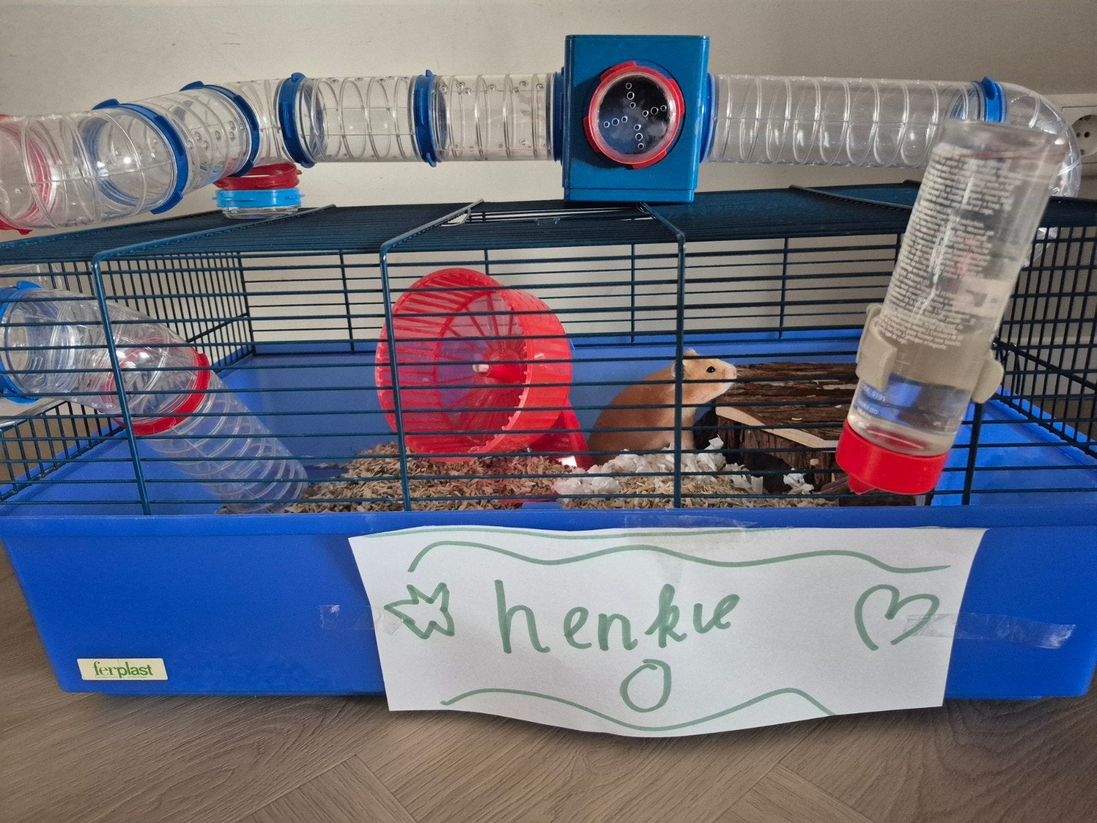 Ferplast hamsterkooi blauw, Kooi, Gebruikt, Minder dan 75 cm, Hamster