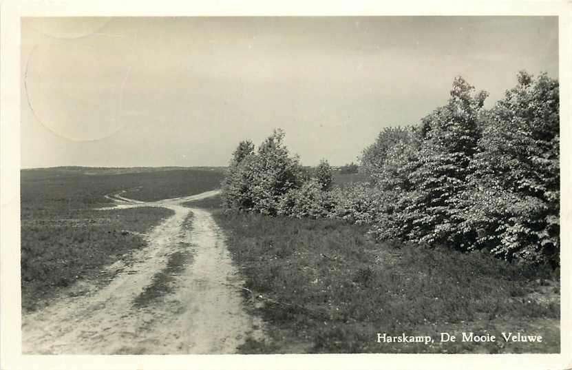 377-355-015 Harskamp, Ophalen of Verzenden, Voor 1920, Gelderland