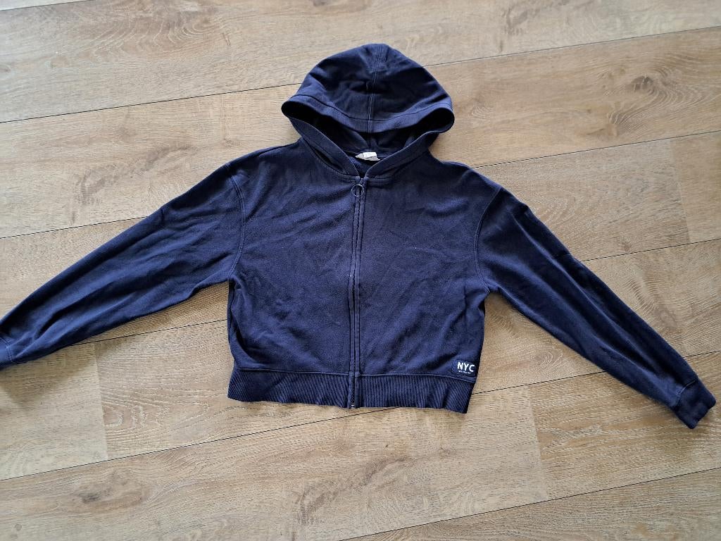 Vest 158-164 mag gratis mee bij een andere aankoop, Gebruikt, Meisje, Trui of Vest, Ophalen of Verzenden