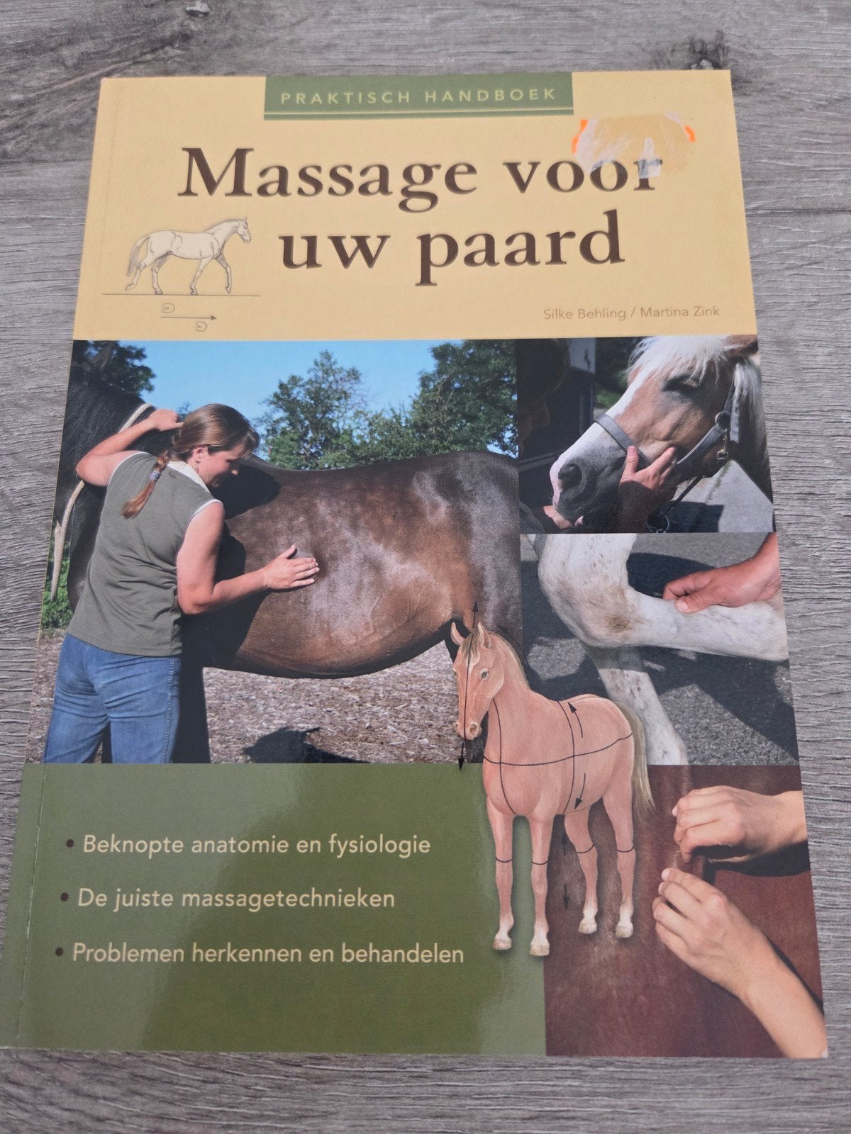 Praktisch Handboek: Massage voor uw paard, Boeken, Ophalen of Verzenden, Gelezen, Paarden of Pony's, Silke Behling / Martina Zink