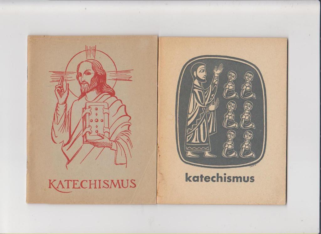 Katechismus, Oude Katechismus, Schoolkatechismus, Bisdom, Ophalen of Verzenden, Zo goed als nieuw, Boek
