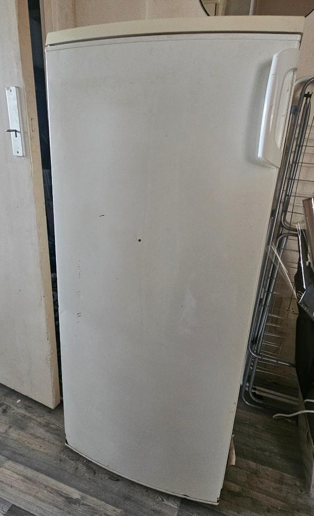 Koelkast, Ophalen, 160 cm of meer, Minder dan 75 liter, Zonder vriesvak
