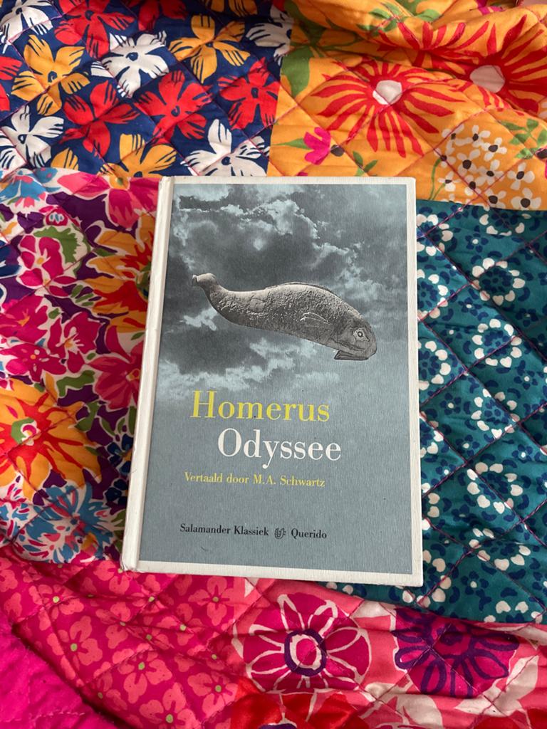 Homerus Odyssee - Salamander Klassiek, Boeken, Ophalen of Verzenden, Gelezen, Nederland