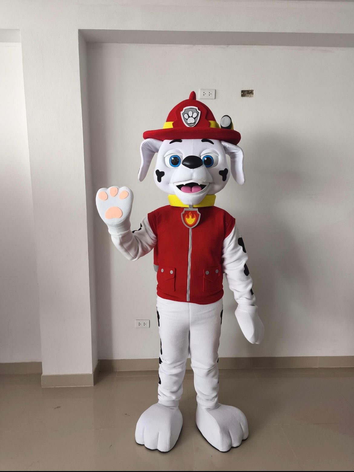 Paw patrol team   Samen of appart ! Mascotte verhuur, Ophalen of Verzenden, Zo goed als nieuw, Verjaardag