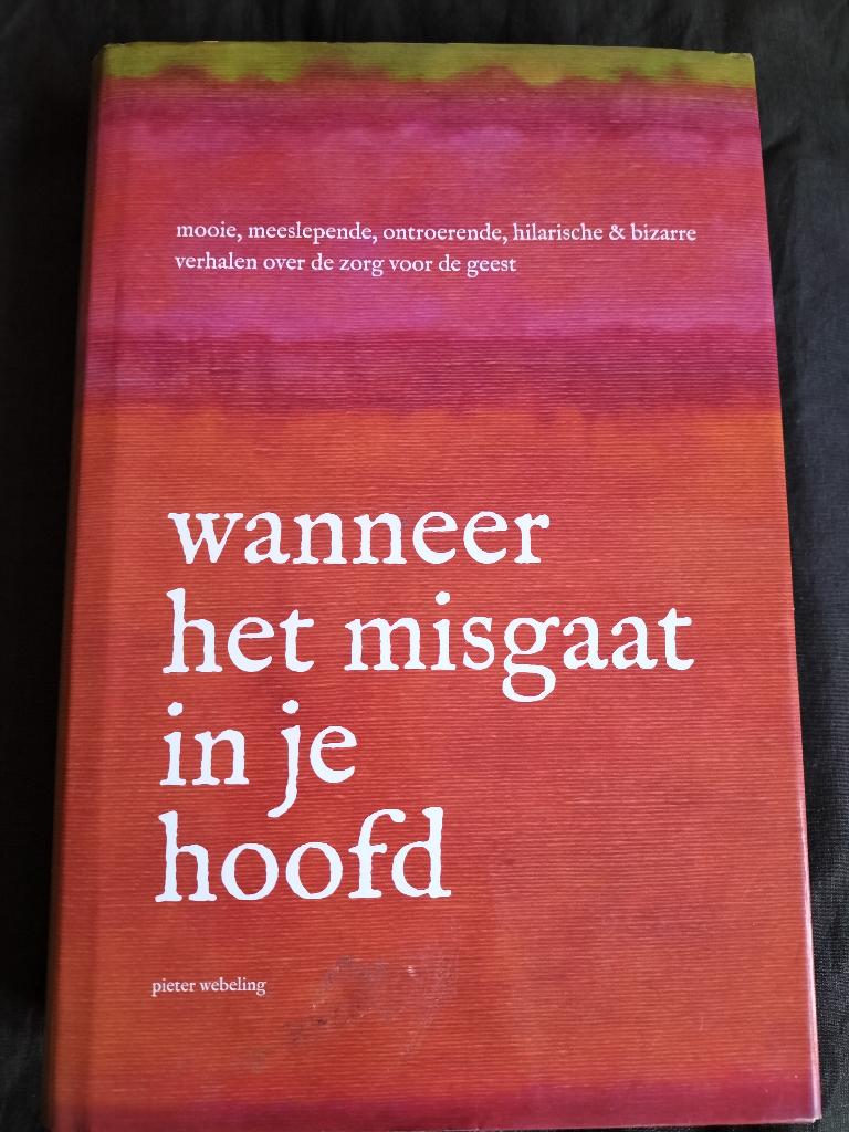 Pieter Webeling - Wanneer het misgaat in je hoofd, Boeken, Ophalen of Verzenden, Zo goed als nieuw, Pieter Webeling