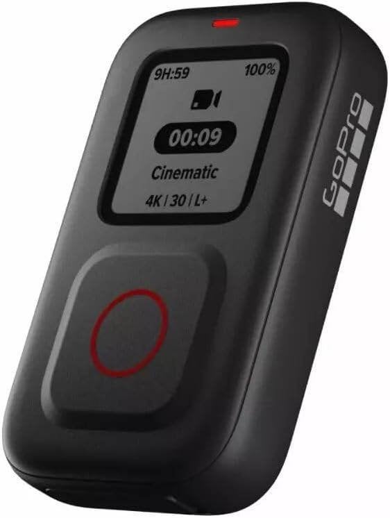 Go Pro The Remote, Ophalen of Verzenden, Zo goed als nieuw, GoPro
