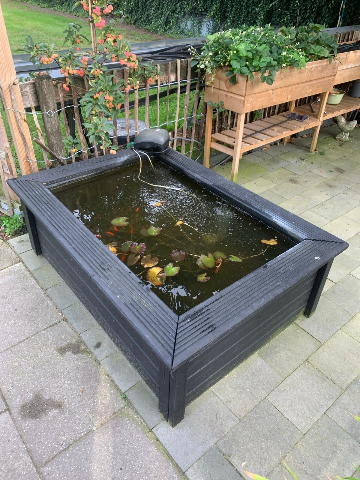 Verhoogde vijver met vissen en waterlelies, Ophalen, Gebruikt