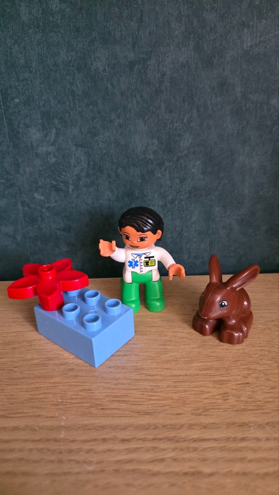 Duplo Dierenarts 5685 met konijn en dokter, Kinderen en Baby's, Speelgoed | Duplo en Lego, Ophalen of Verzenden, Compleet, Duplo