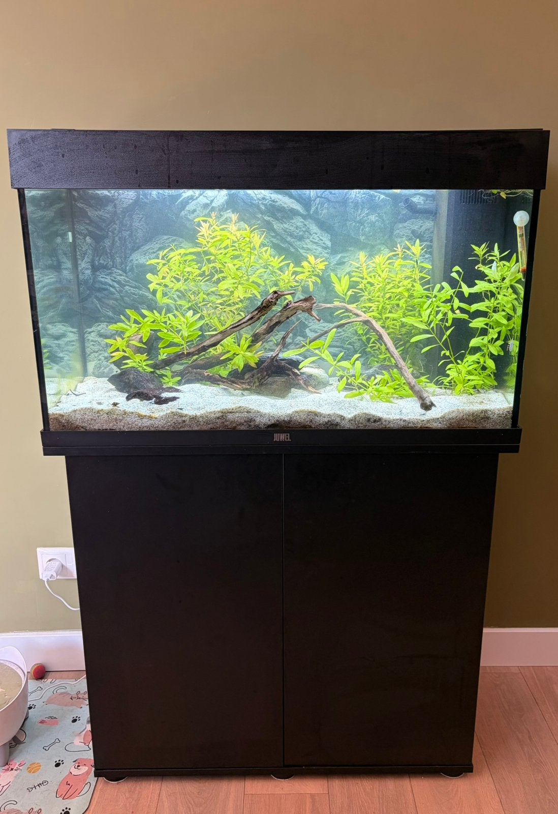 Juwel rio led 125 aquarium! Half jaar oud. MOET WEG!, Ophalen, Pomp, Juwel, Gevuld zoetwateraquarium