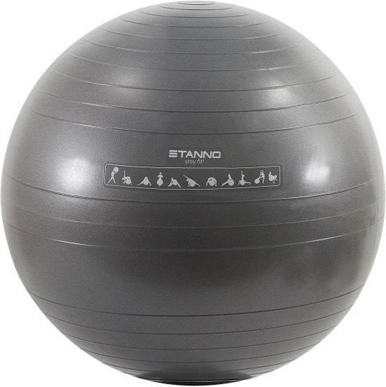 Stanno exersice bal 65cm - Fitness bal - bevalling zwanger, Ophalen of Verzenden, Zo goed als nieuw