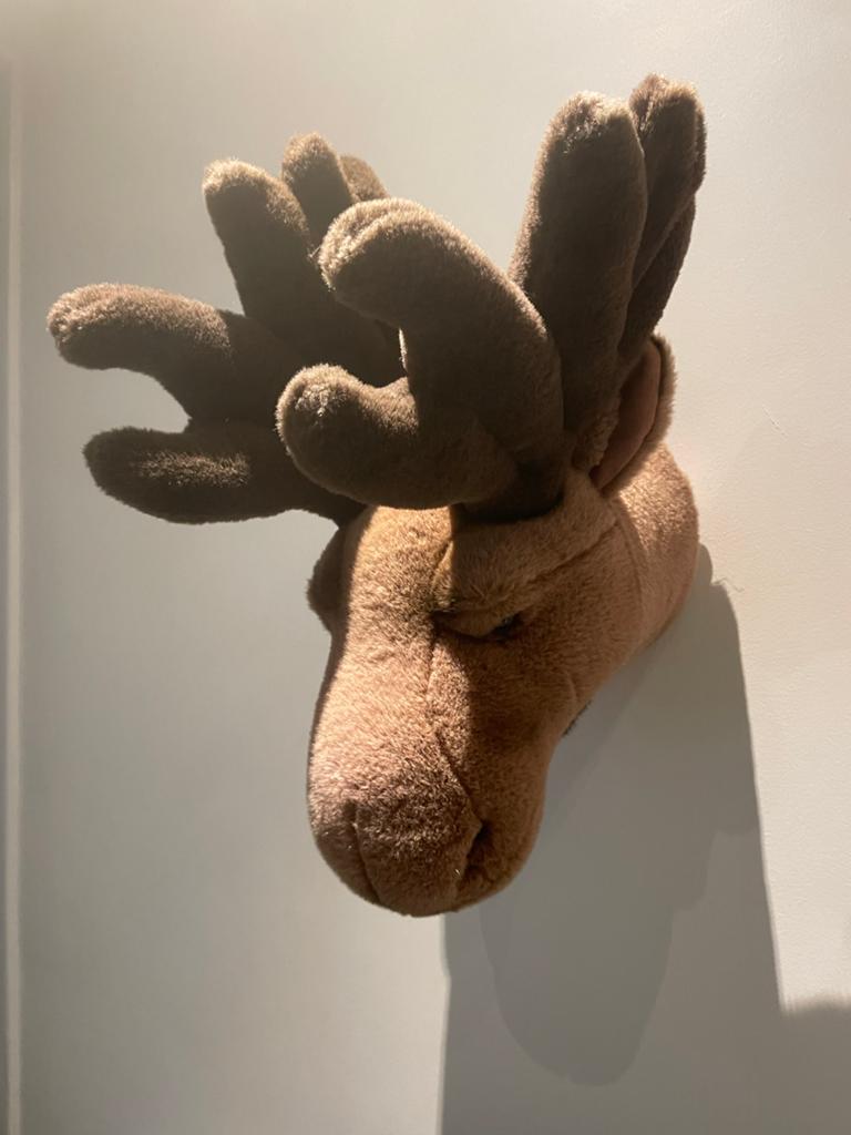 Bibib eland knuffelkop voor aan de muur, Ophalen, Gebruikt, Overige stijlen, Bruin