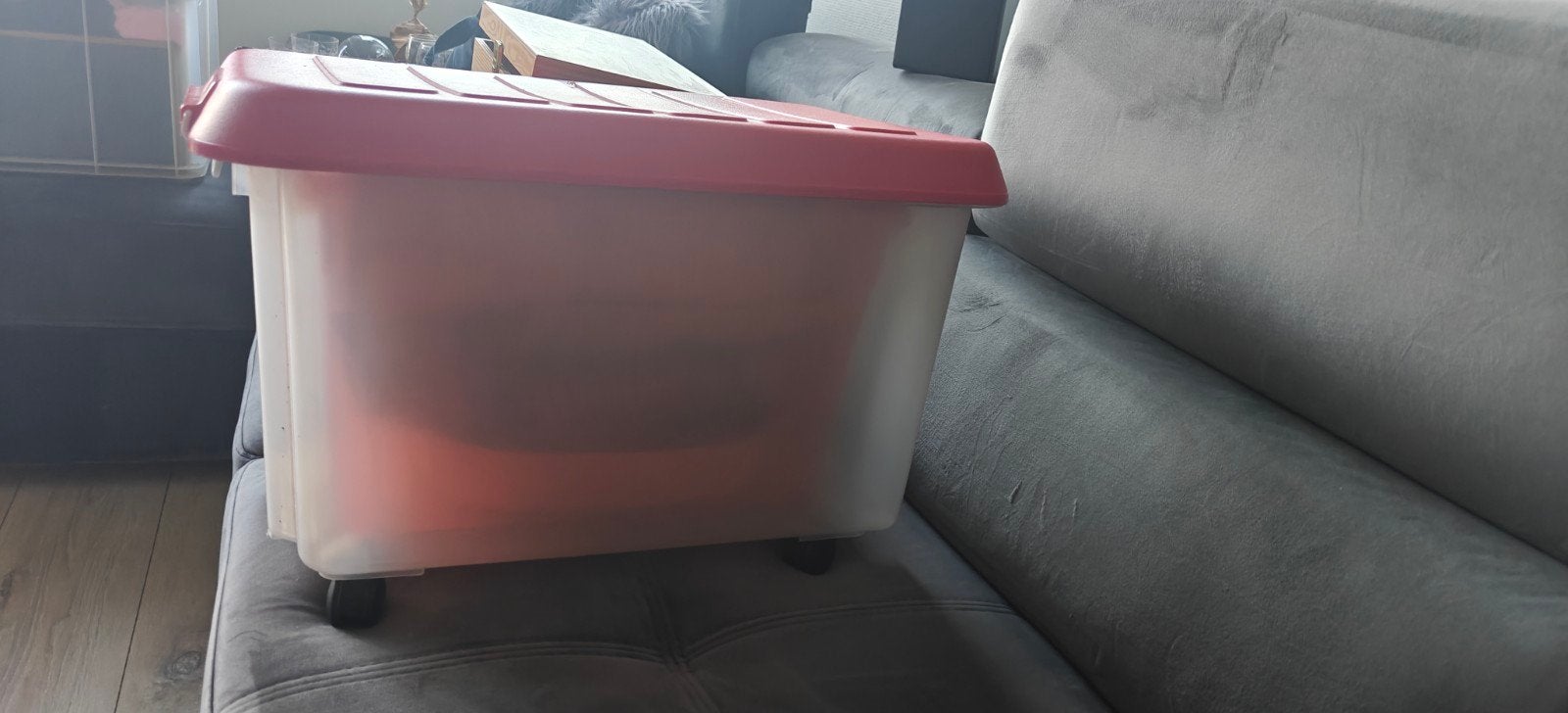 Curver opbergbox met wielen en rood deksel, Kunststof, Gebruikt, 50 tot 100 cm, Ophalen of Verzenden