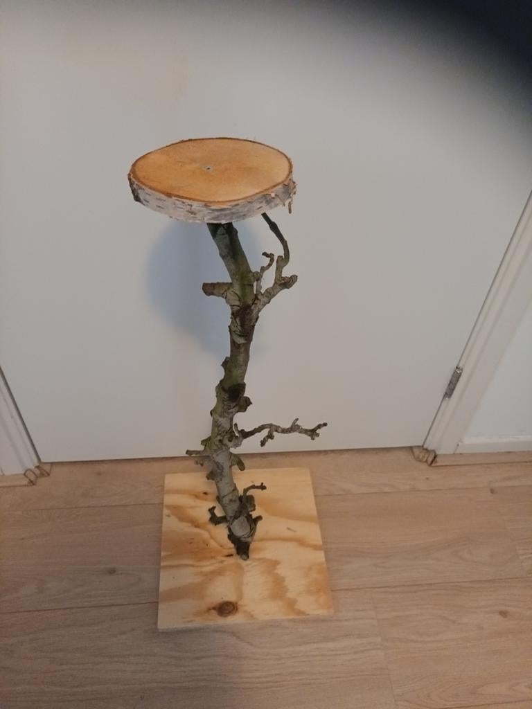Decoratie tak, Huis en Inrichting, Woonaccessoires | Overige, Ophalen of Verzenden, Nieuw
