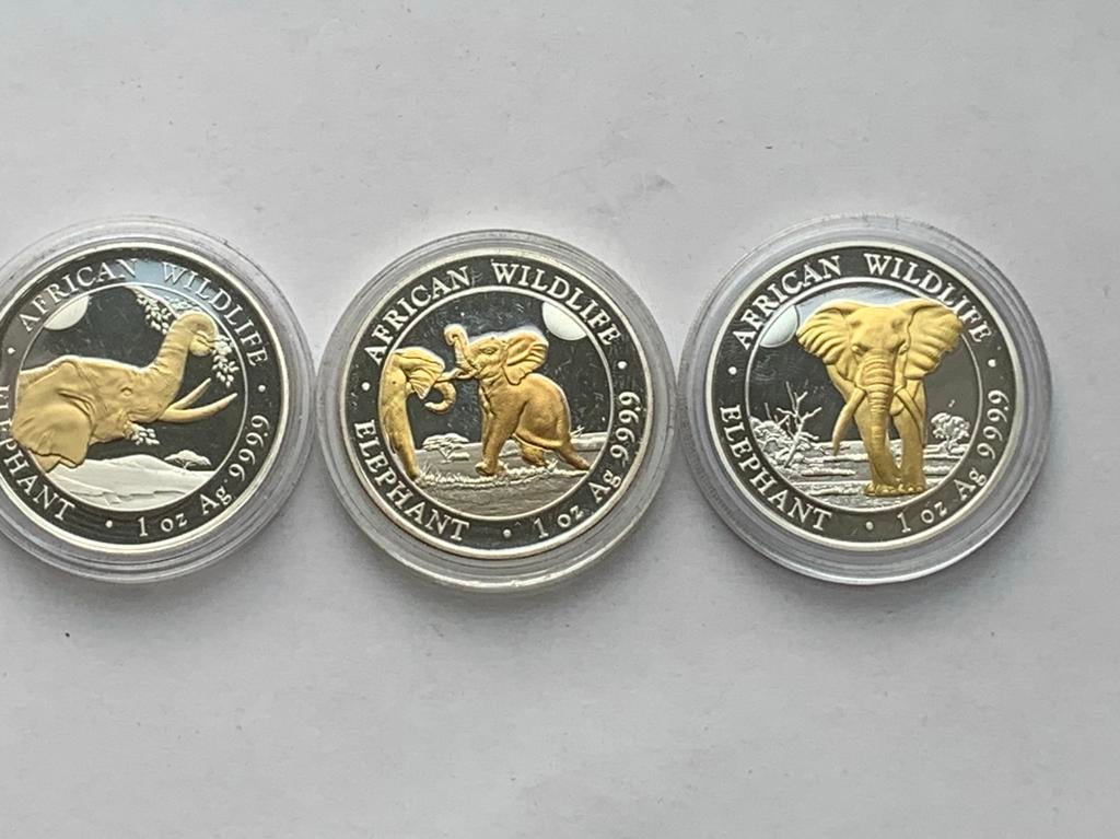 3 zilveren verguld 1 oz somalische olifanten 2023,2024,2025, Postzegels en Munten, Munten | Afrika, Ophalen of Verzenden, Overige landen